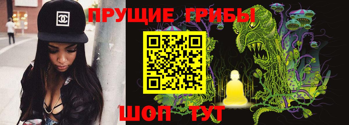 Галлюциногенные грибы Cubensis Дагестанские Огни